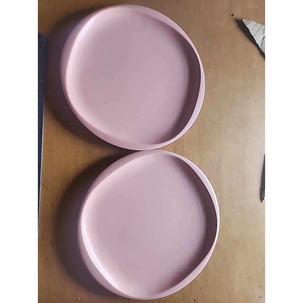 Boonton Ware 10-inch plates Pink Pastel Vintage Set Of 2